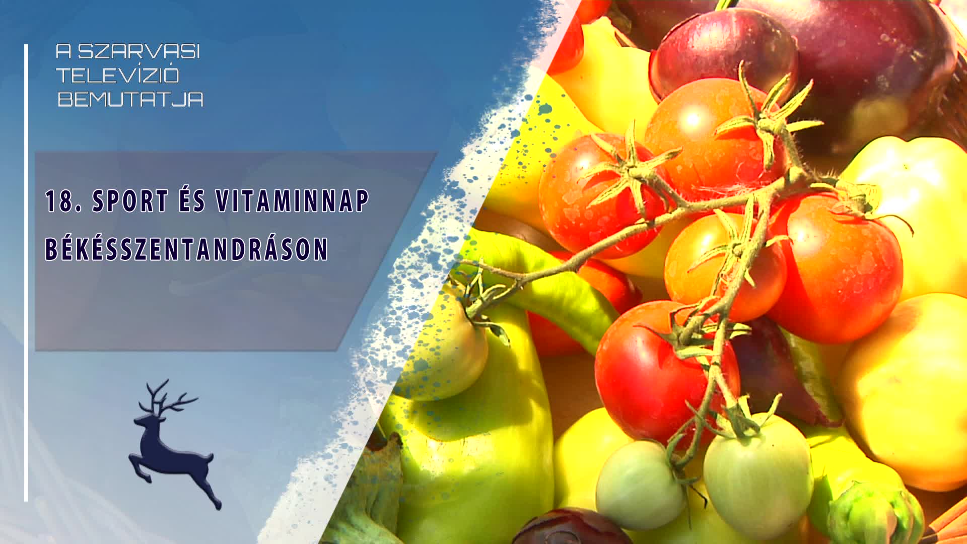 18. Sport- és Vitaminnap békésszentandráson (2026.08.08)