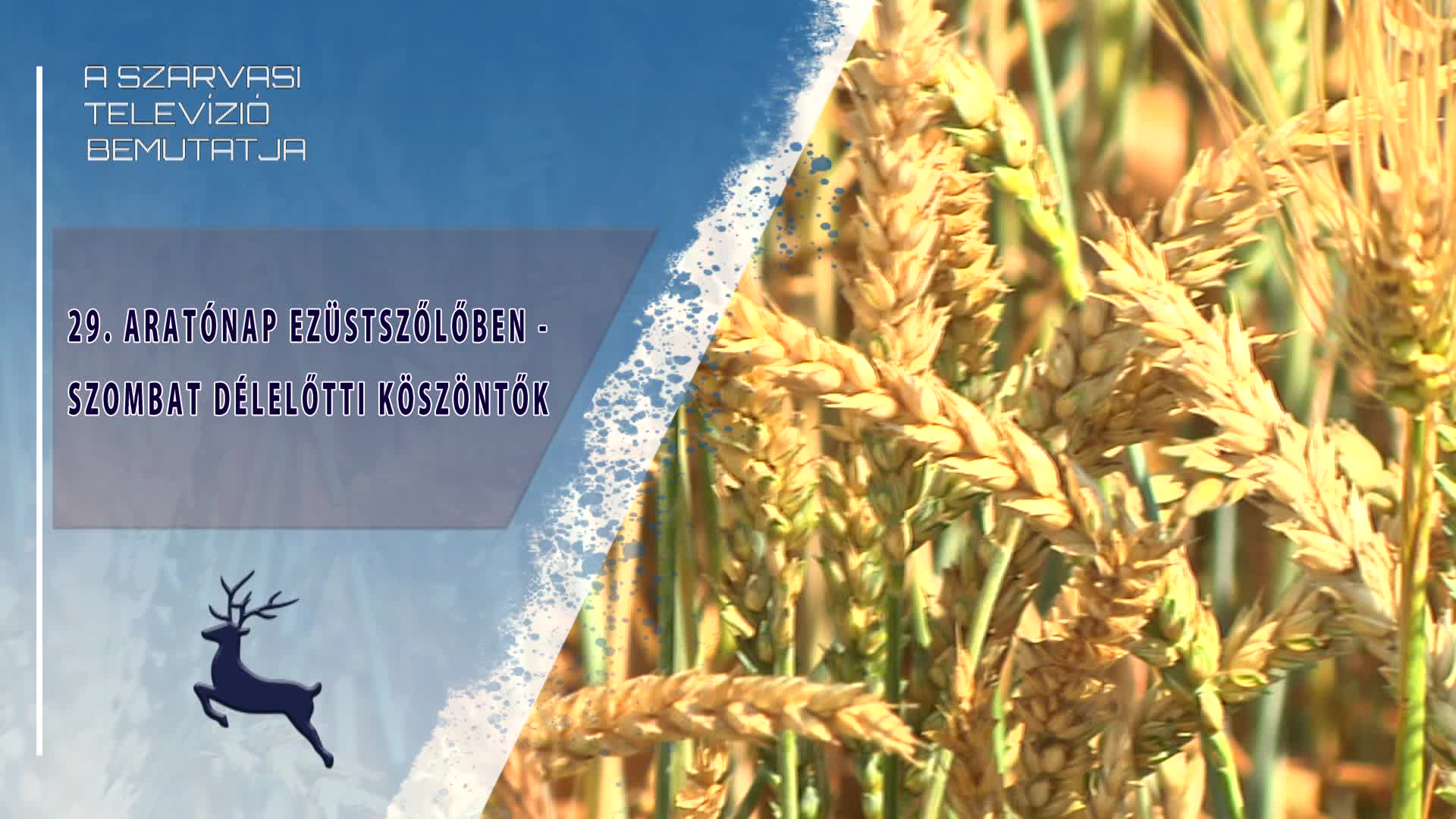 29. Aratónap Ezüstszőlőben - délelőtti köszöntők (2026.06.20)
