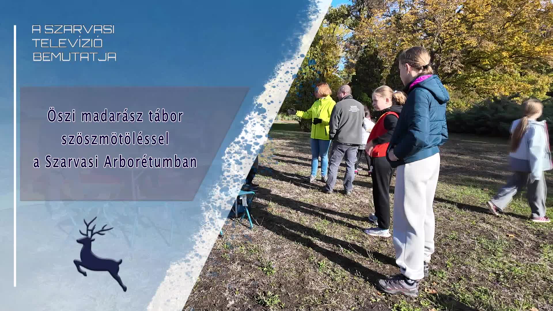 Öszi madarász tábor szöszmötöléssel a Szarvasi Arborétumban