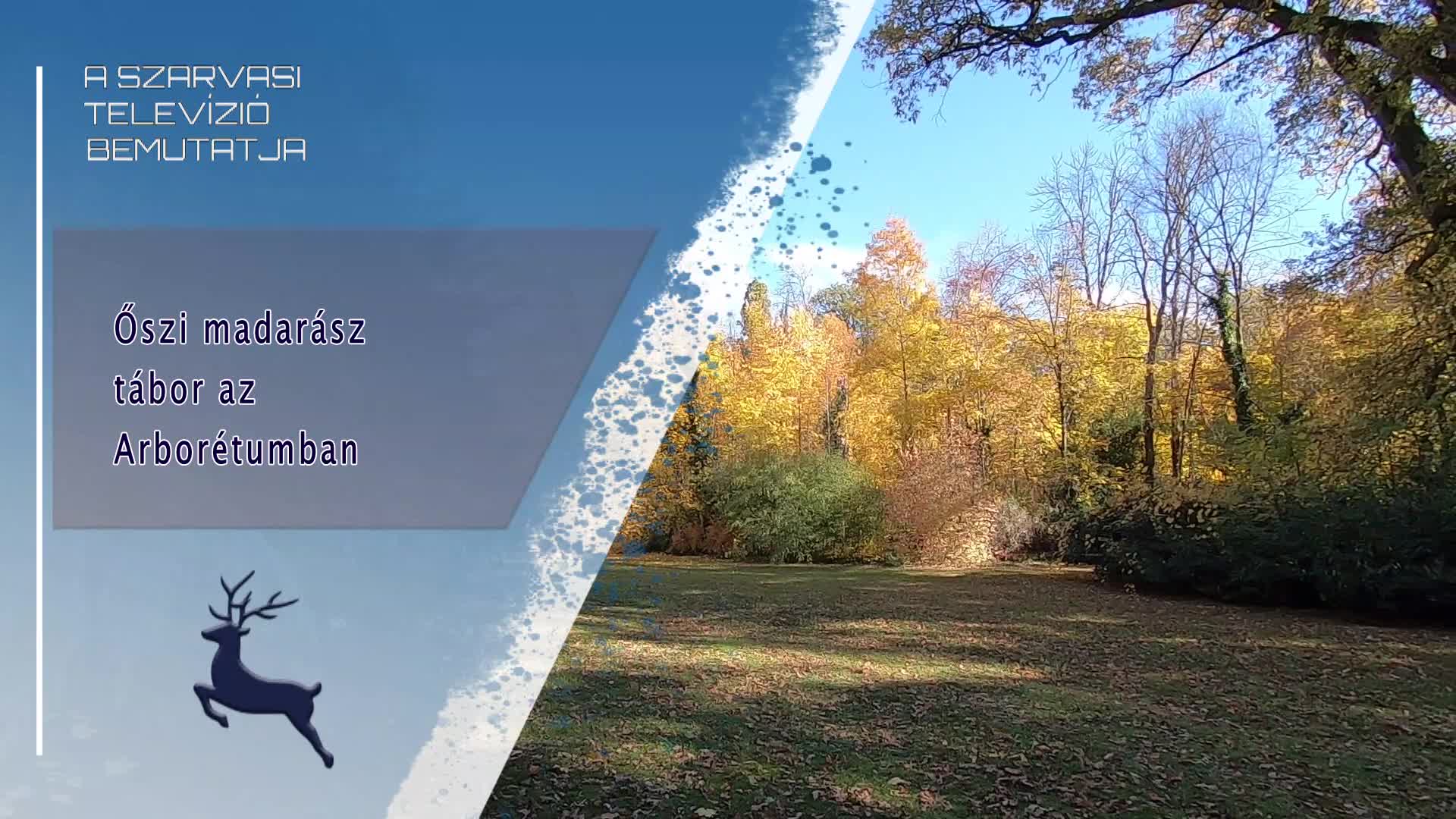 Őszi madarász tábor az Arborétumban / 2025. 10. 29