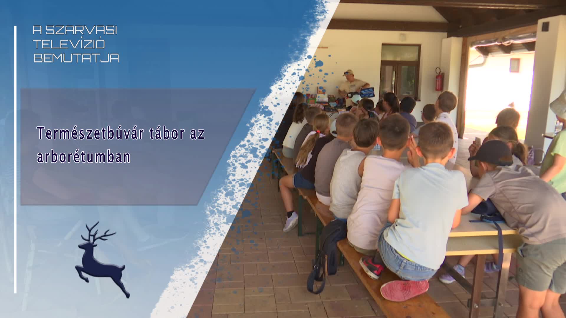 Természetbúvár tábor az arborétumban