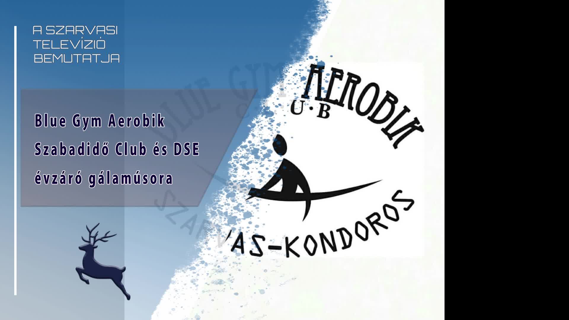 Blue Gym Aerobik Szabadidő Club és DSE évzáró gálaműsora 