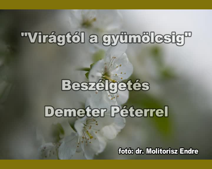"Virágtól a gyümölcsig" beszélgetés Demeter Péterrel