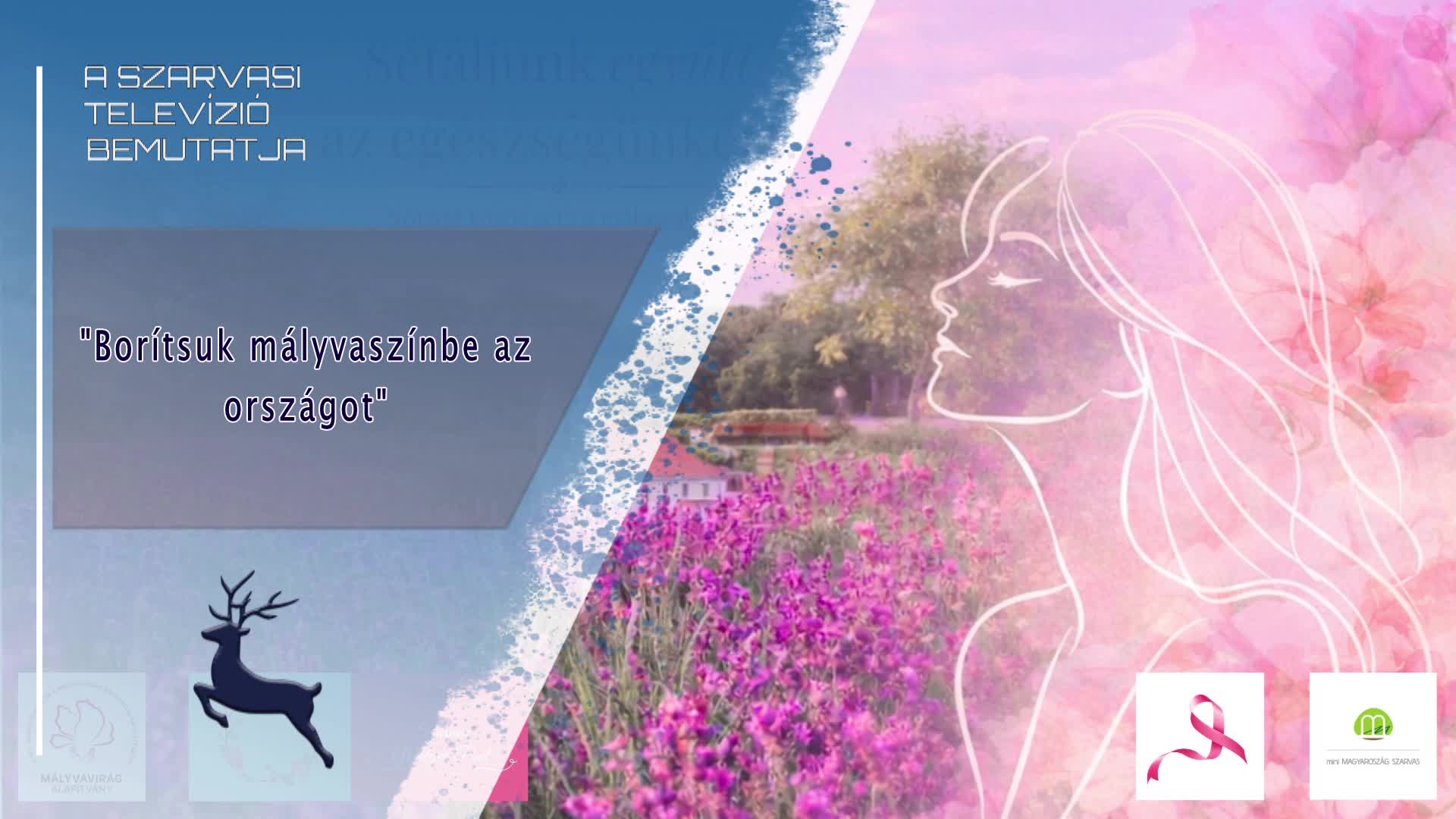 Mályvavirág séta a Minimagyarország makettparkban