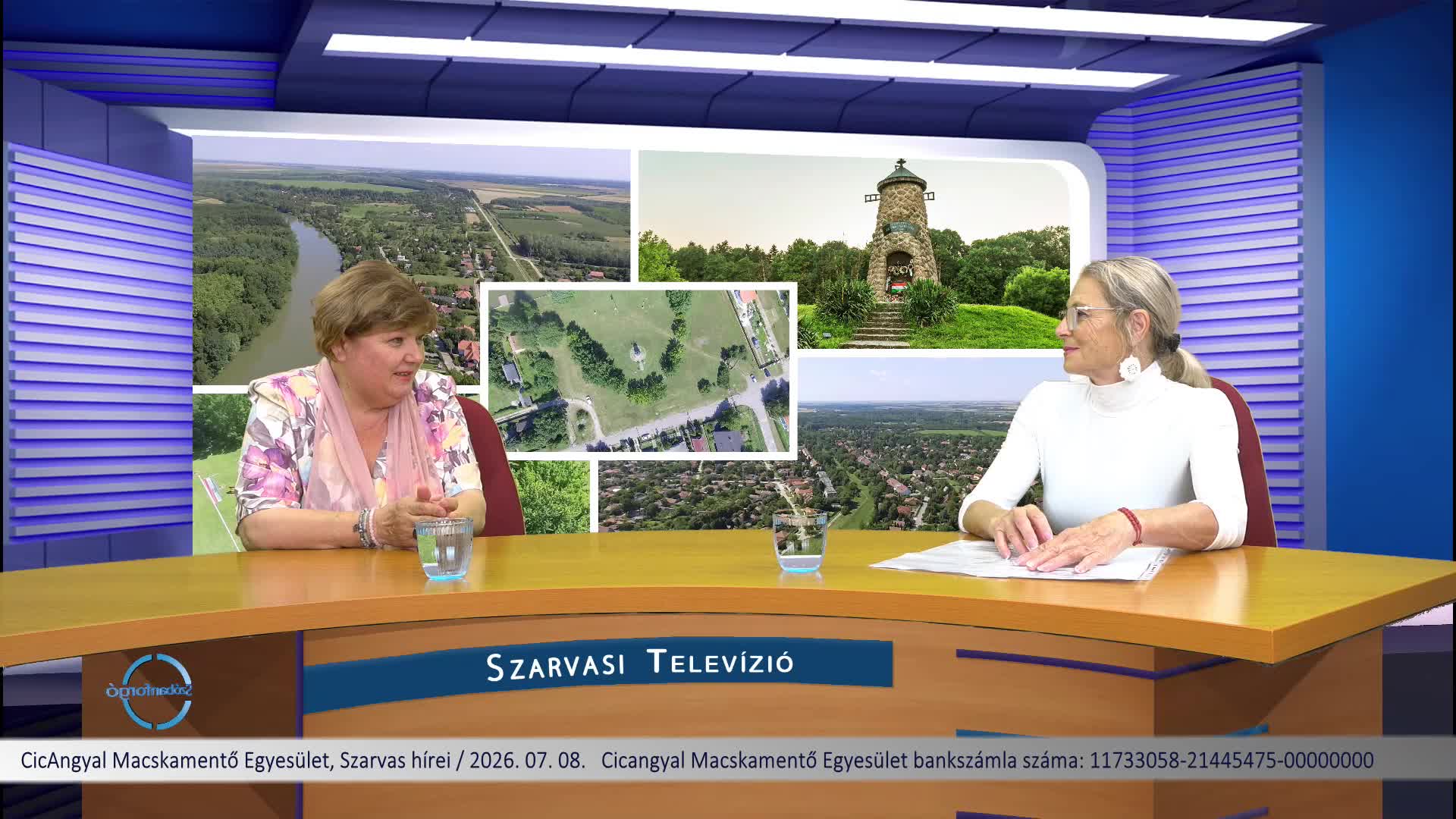 Szóbanforgó,  CicAngyal Macskamentő Egyesület, Szarvas hírei 