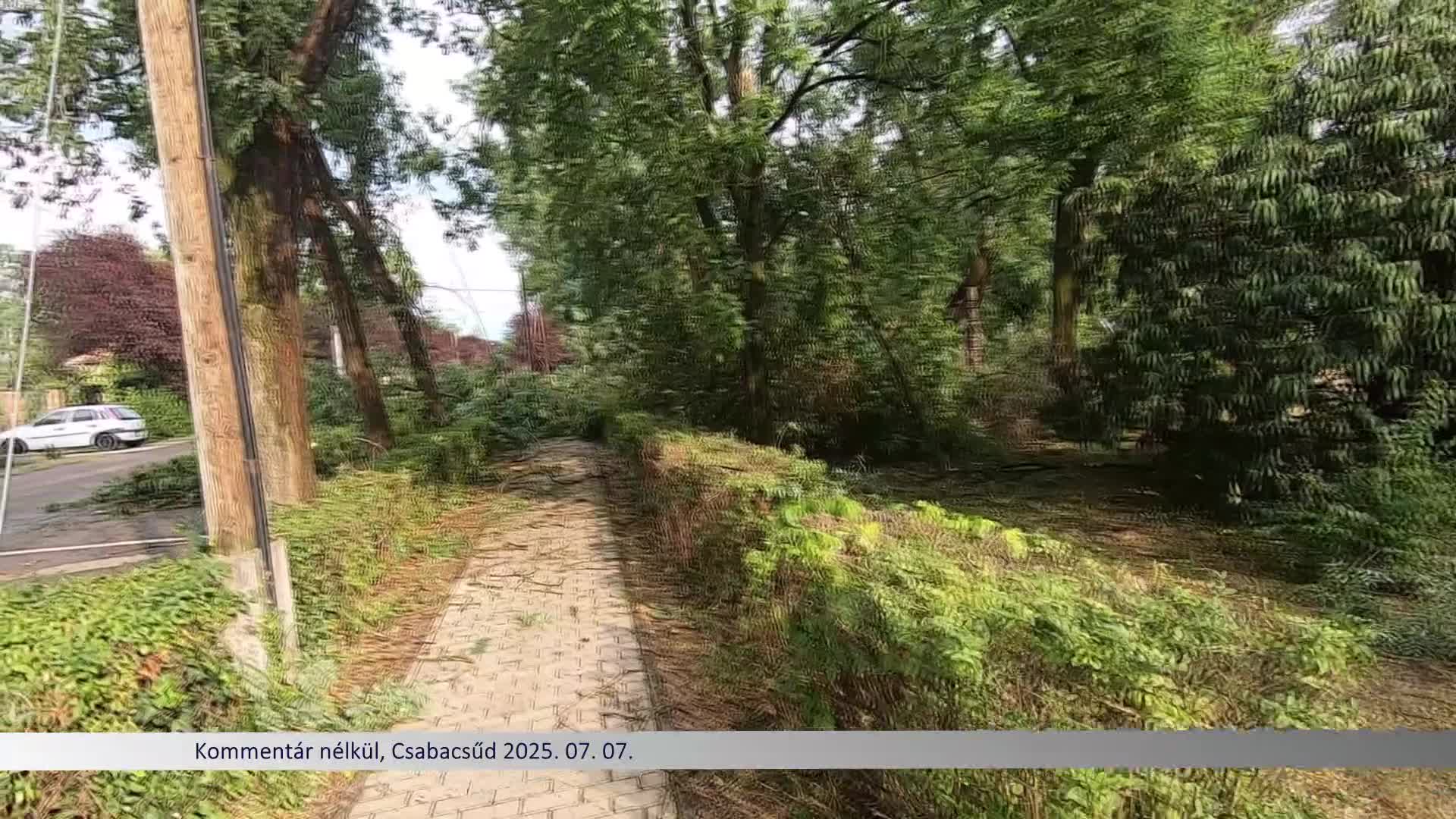 Kommentár nélkül, Csabacsűd vihar után  2025. 07. 07.