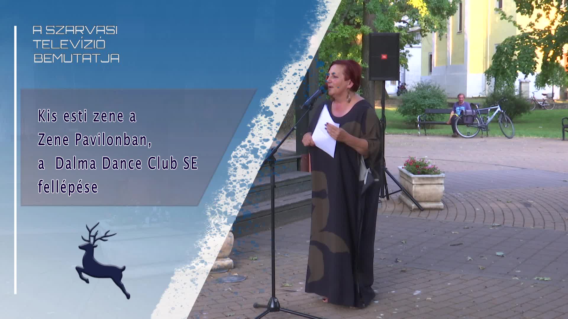 Kis esti zene a Zene Pavilonban, a Dalma Dace Club fellépése