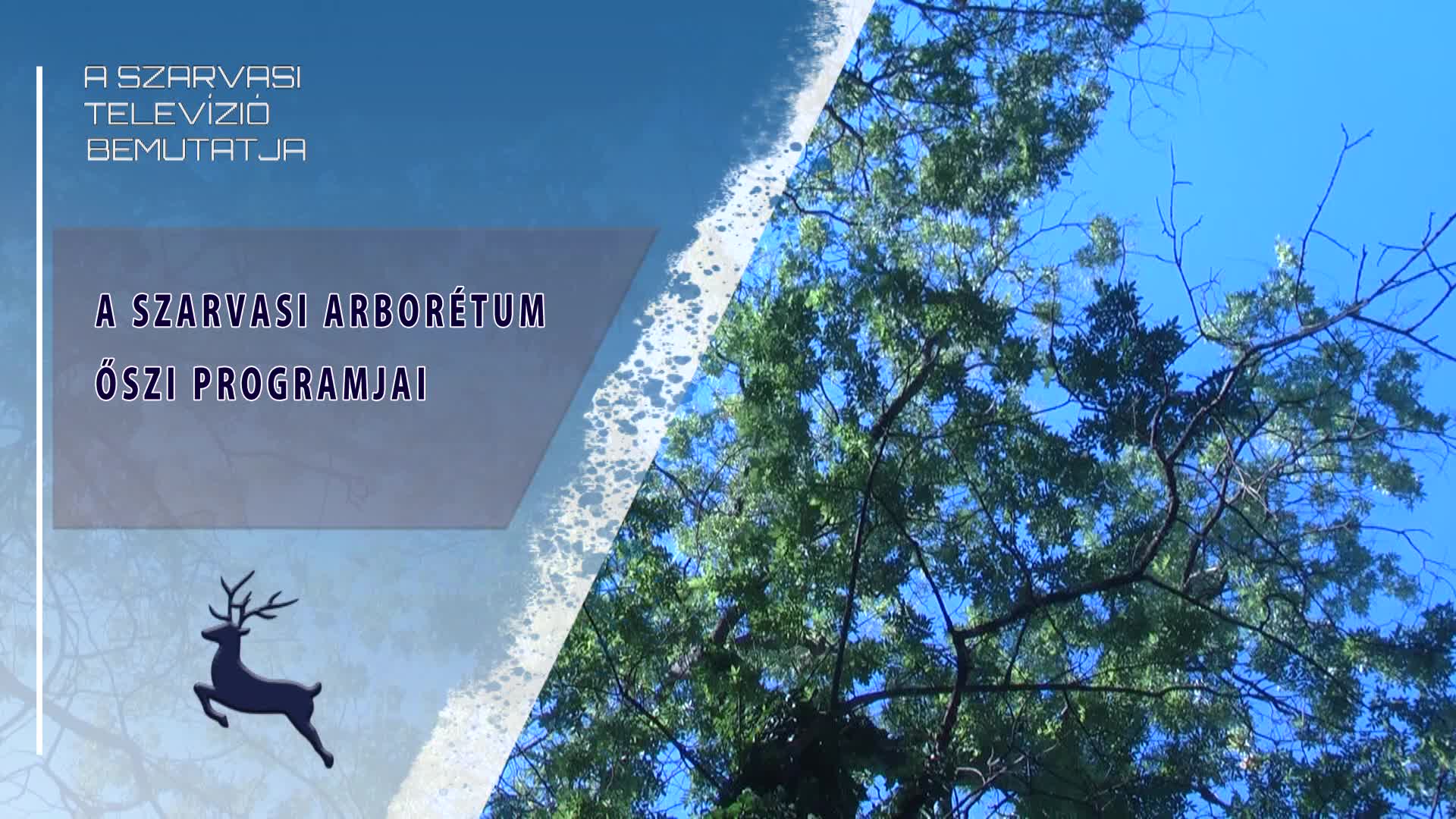 A szarvasi Arborétum őszi programjai (2026.09.17)