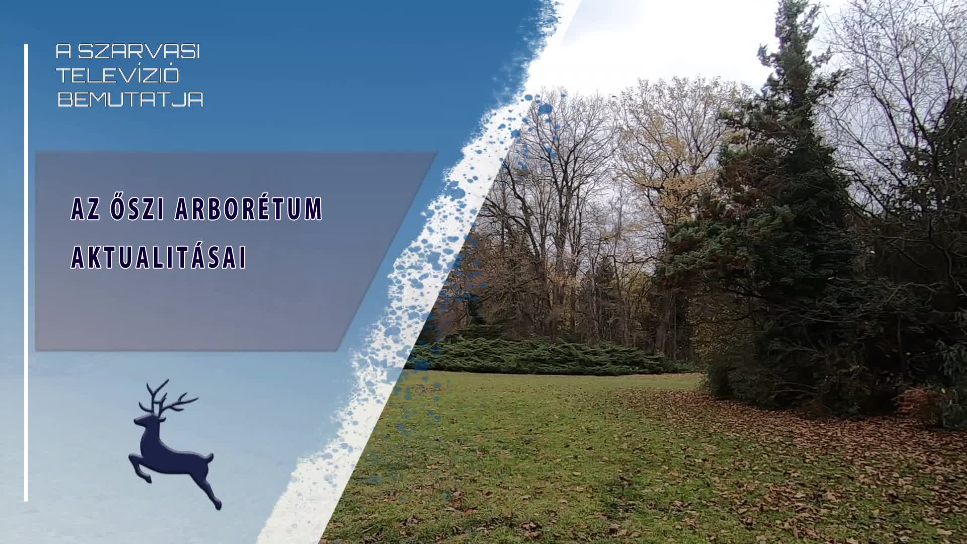 Az őszi Arborétum aktualitásai (2025.11.18)