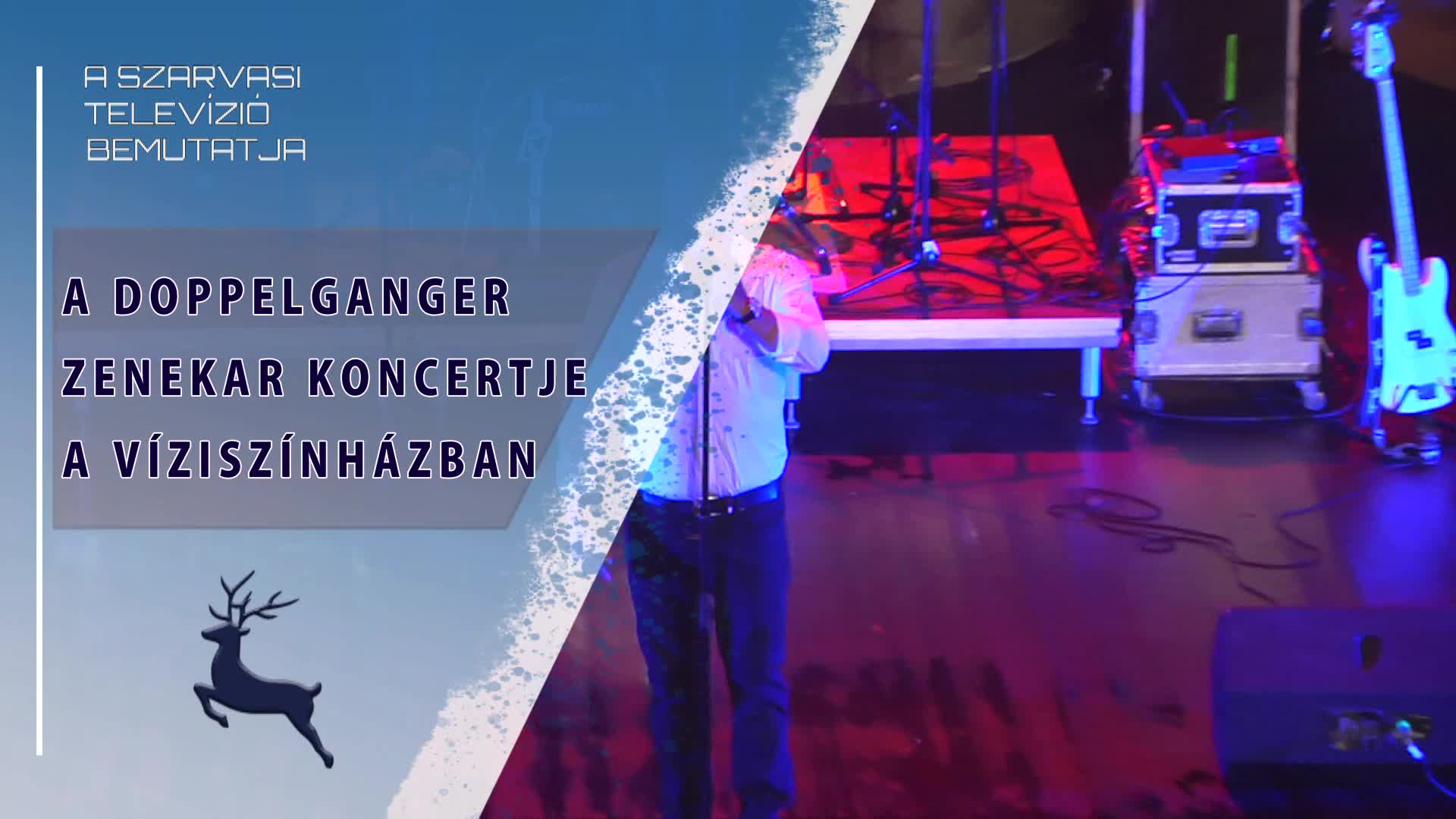 A Doppelgänger zenekar koncertje a Víziszínházban