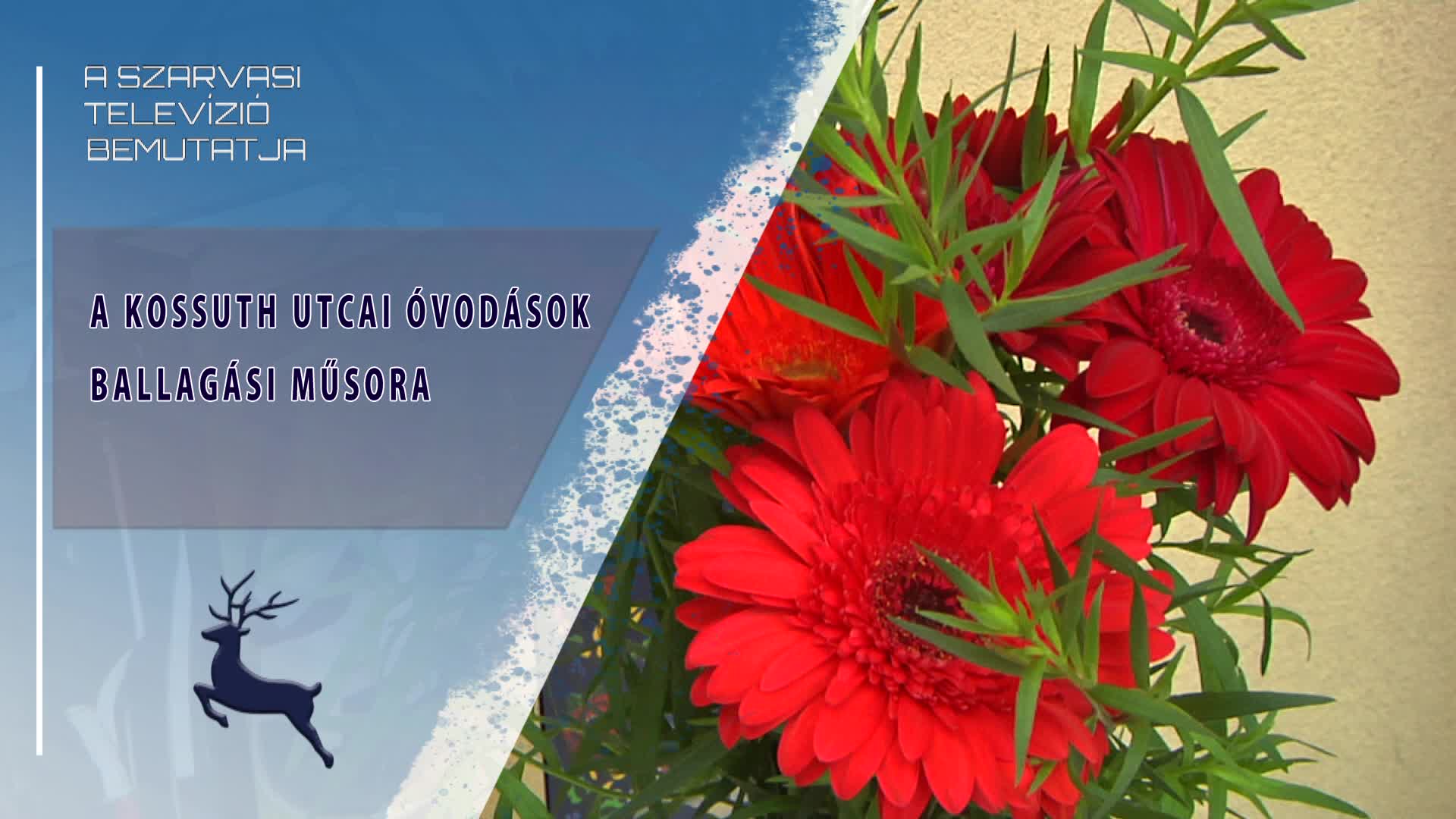A Kossuth utcai óvodások ballagási műsora (2025.05.23)