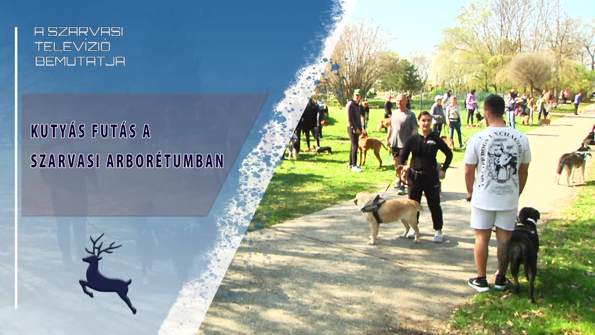 Kutyás futás a szarvasi Arborétumban (2026.03.22)