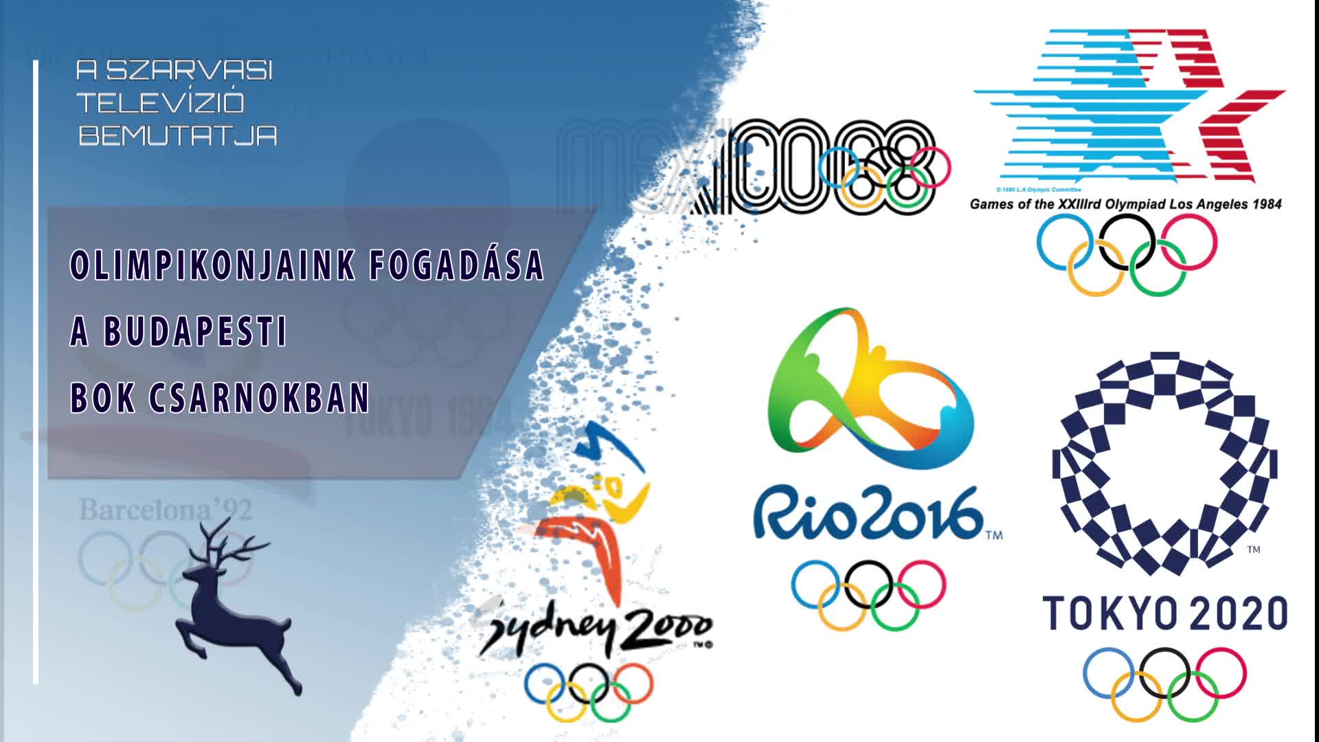 Olimpikonjaink fogadása a budapesti BOK Csarnokban