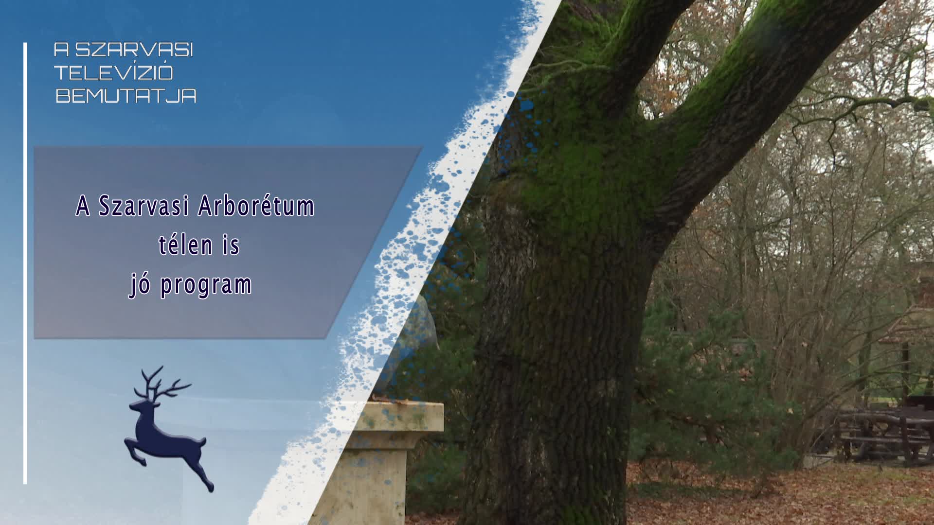 Szóbanforgó 2023. 12. 19. - A Szarvasi Arborétum télen is jó program