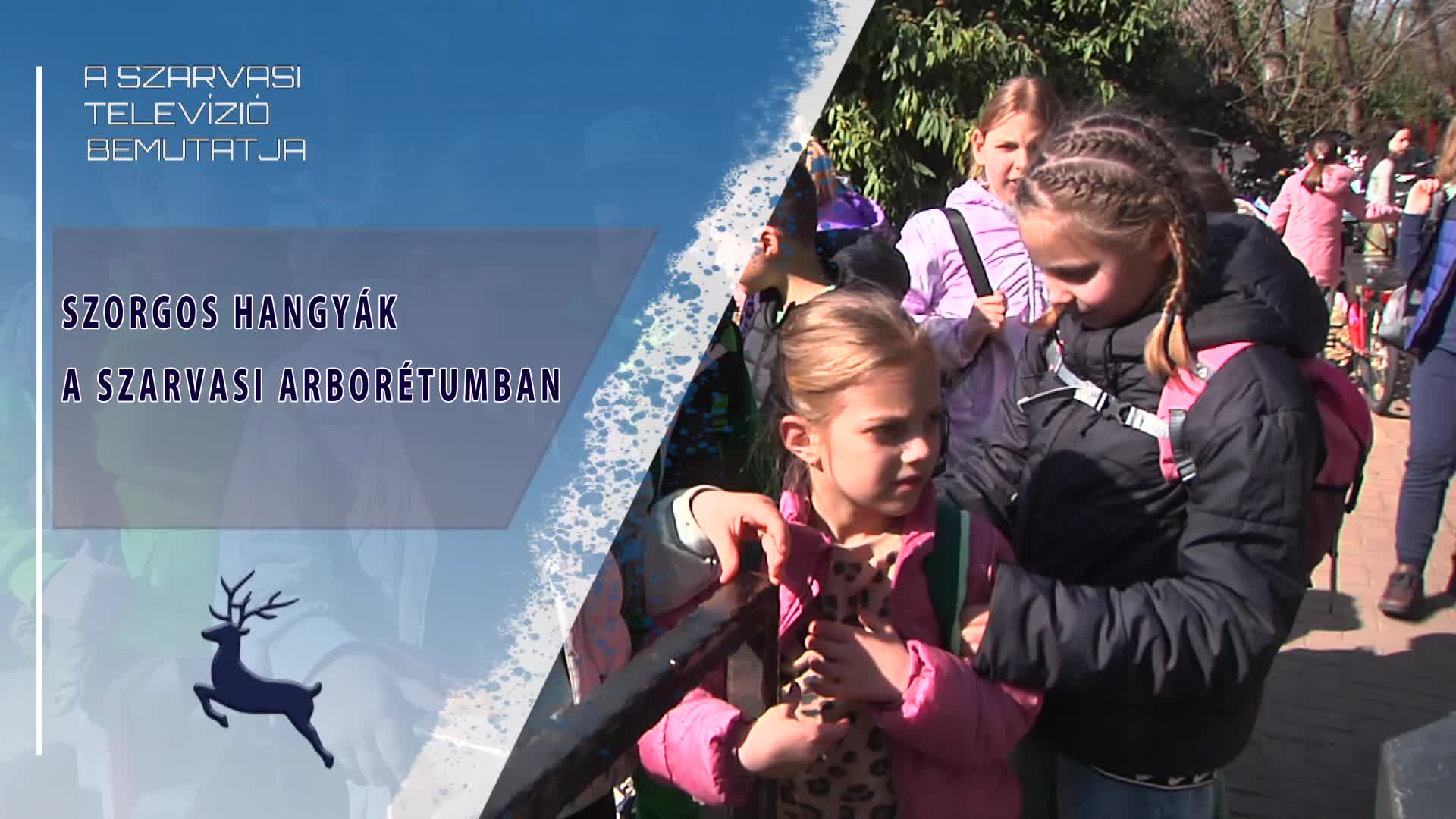 Szorgos hangyák a szarvasi Arborétumban (2026.03.18)