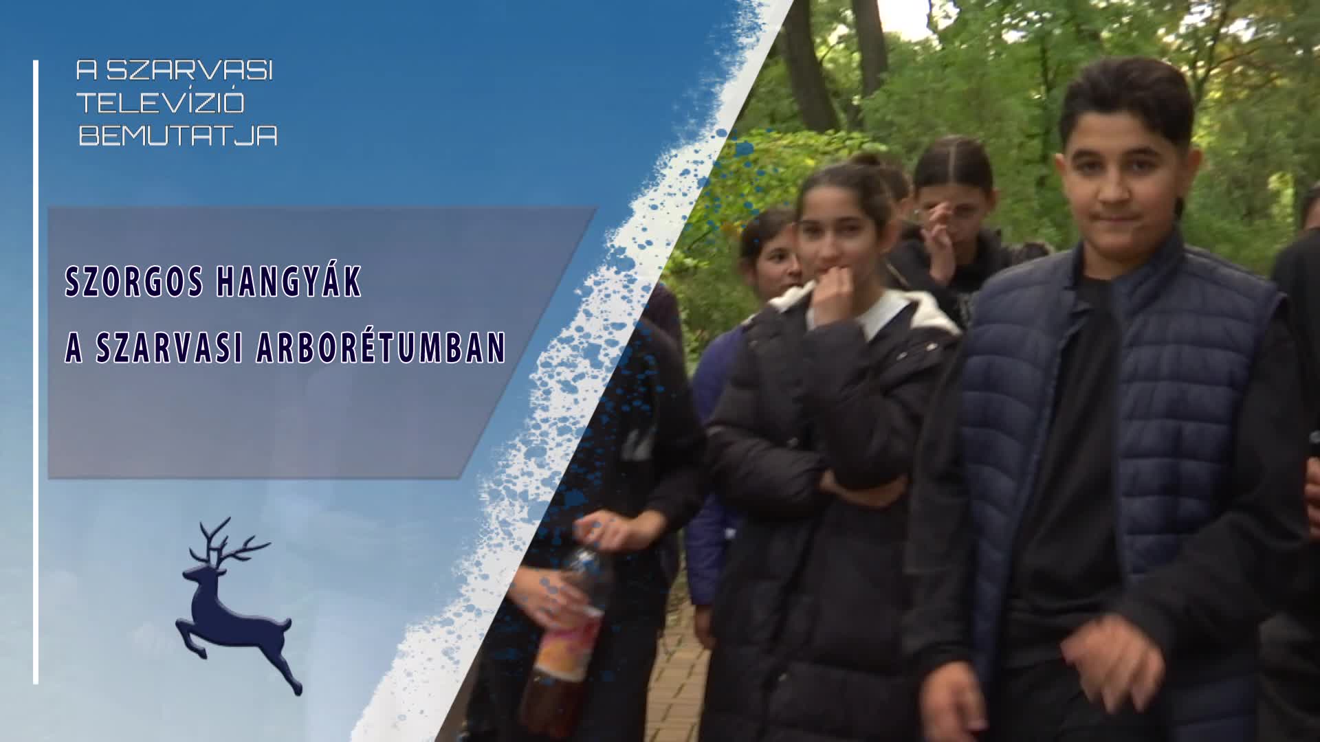 Szorgos hangyák a szarvasi Arborétumban (2025.10.08)