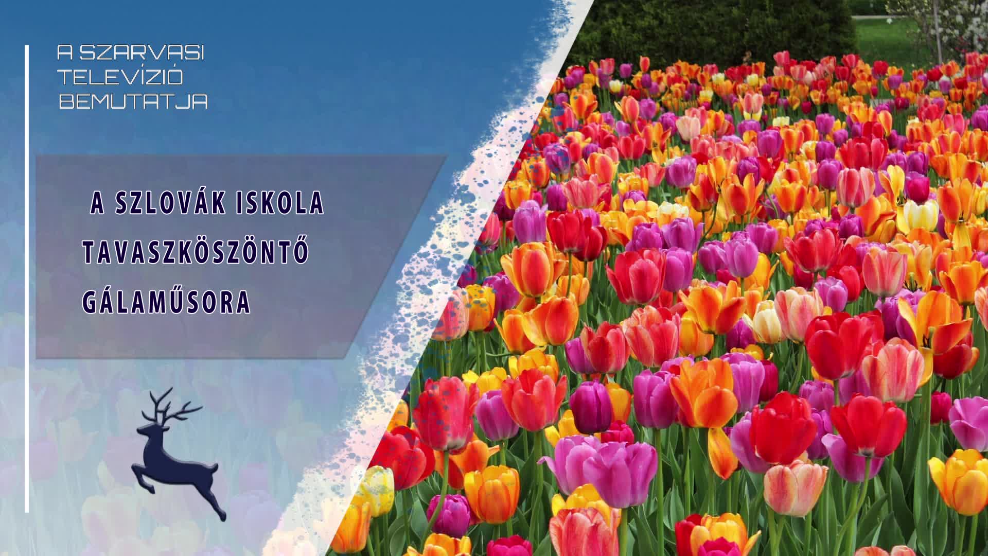 A Szlovák Iskola tavaszköszöntő gálaműsora (2023.04.23.)