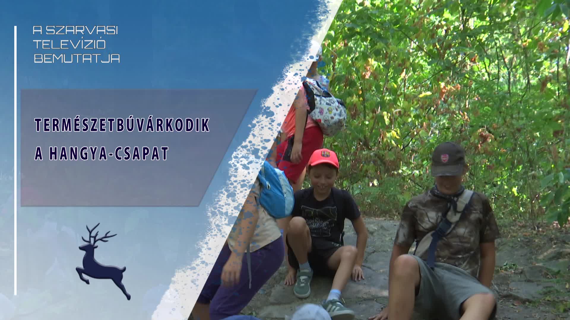 Természetbúvárkodik a Hangya-csapat (2026.08.06)