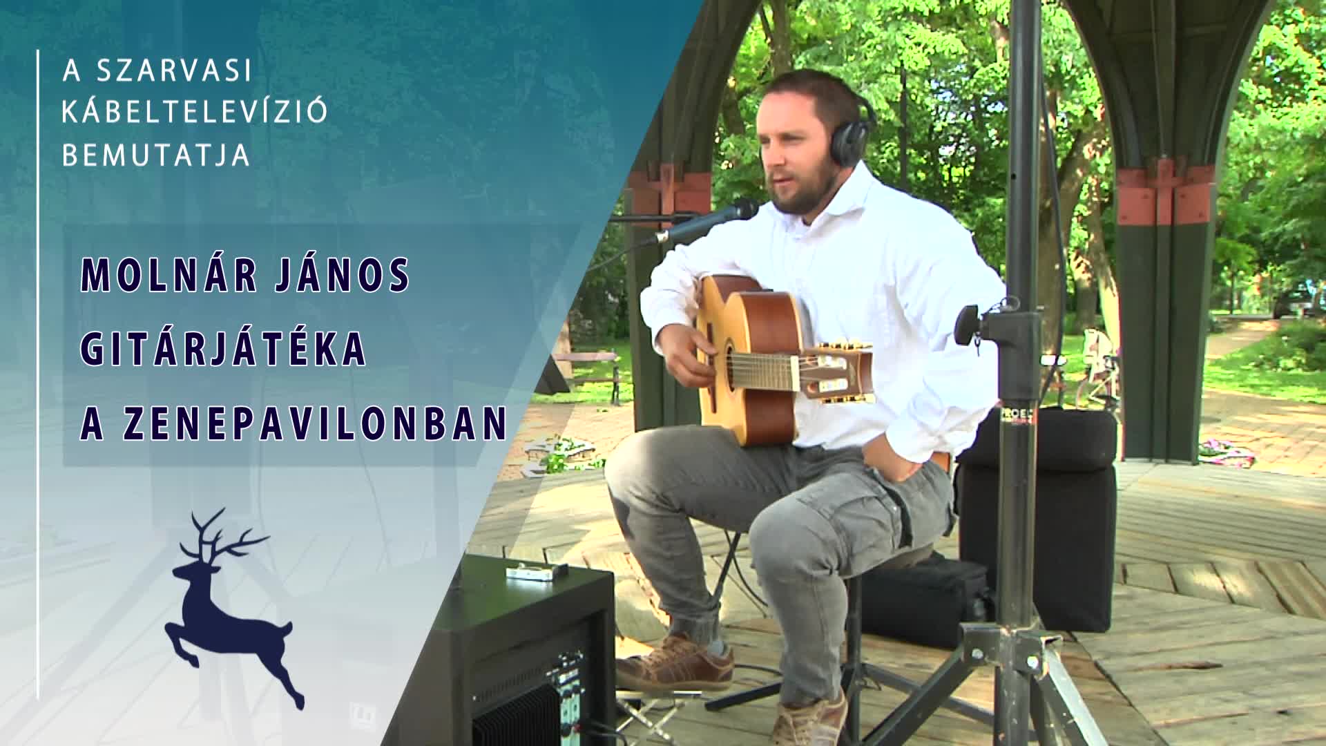 Molnár János gitárjátéka a Zenepavilonban